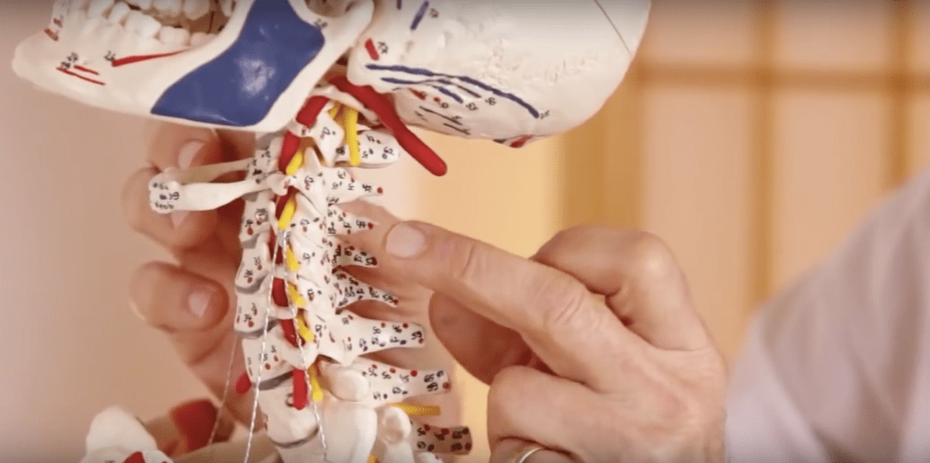 Visceral Manipulation The Thorax (VM4) Craniosacral therapy